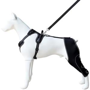 Adjustable Dog Knee Brace with Leash, Hind Leg Support for Joint Pain, ACL Injury Recovery, Anti-Lick Wrap Harness Set, XL