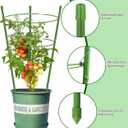 4 Pack Garden Plant Support Tomato Cage, Upgrade 24" Trellis for Climbing Plants, Plant Trellis Kits (24")