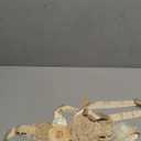 FANFAN Maternity Belt for Pregnant Wedding - Bridal Sash Belt Y01 (Champagne)