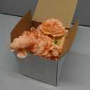 Thiccywoov 50 Pcs Artificial Flowers, 3.2 Inches Silk Rose Head Flowers Fake No Stem for Wedding Bridal Bouquet Home Floral Decor DIY Centerpieces Arrangements Party Tables Decorations (Peach)