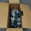 Novelty Lights 100 Light C6 LED Christmas Mini Light Set, Commercial Grade Outdoor String Lights, Pure White, Green Wire, 50 Feet