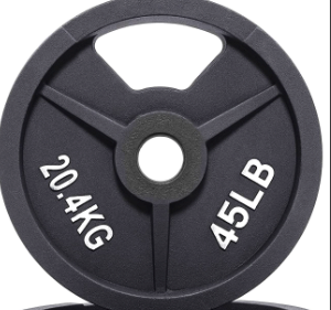 45 Lb Iron Weight Plate for Strength Training