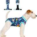 Dog Surgery Recovery Suit,Female Male Dog Onesie for Spay Neuter,Substitute E-Collar & Cone,Anti-Licking Breathable Onesie for Small Medium Large Dogs,New Dinosaur Pattern M