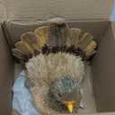 winemana Thanksgiving Turkey Decor  7.9" Tall Sisal Turkeys Table Centerpiece with Top Hat, Fall & Harvest Home Decor, Thanksgiving Decorations Indoor