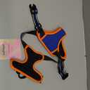 rabbitgoo Dog Harness No Pull with 2 Leash Clips, Adjustable Soft Padded, Reflective Oxford No Choke Pet Vest with Easy Control Handle for Medium Sized Dogs, Blue & Orange, M