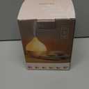 SALKING Essential Oil Diffuser, 100ml Small Aromatherapy Diffuser with Auto Shut-Off Function, Ultrasonic Diffusers for Essential Oils, Cool Mist Humidifier with Warm White Lights, for Office Home No charging cable