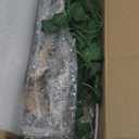 Cosyall Reptile Hide Caves Simulation Tree Hideout, Hideout Shelter Sleep Cave is Decorated for Arboreal Reptile, Snake, Leopard Gecko, Lizard, Salamander, Hermit Crab Aquarium