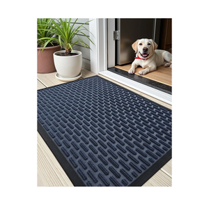 Color&Geometry Large Outdoor Mat for Front Door Home Entrance Outside Entry Patio Waterproof Heavy Duty Doormat Outdoor Floor Welcome Matt - 24"x48" Blue