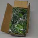 BLEUM CADE Fake Hanging Plants, 2pcs Artificial Pothos Vines Greenery for Wall Home Living Room Office Indoor Outdoor Decor (No Baskets)