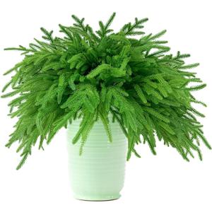 24 Pcs Faux Greenery Stems, Real Touch Artificial Norfolk Pine Branches Greenery Pine Picks for Vase Fillers, DIY Indoor Outdoor Spring Summer Home Decor (17 Inches)
