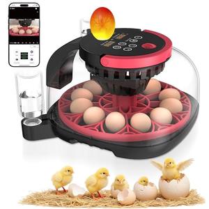 Caifunway Incubators for Hatching Eggs with Automatic Egg Turning and Humidity Control, HD Camera Record with APP Control, Dual Band Wi-Fi, 12 Egg Capacity, for Chicken Duck Pigeon Quail