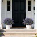 2 Sets Artificial Eucalyptus & Lavender Topiary Trees for Front Door - Faux Lavender Potted Topiary Trees, UV Resistant Fake Outdoor Plants for Farmhouse Porch Garden Decor