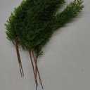 5 Pcs Artificial Cypress Branches, 16.5 Inch Faux Greenery Pine Picks Long Stem Cedar Sprigs Garland Evergreen Branch for Flower Arrangements DIY Craft Decoration