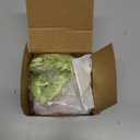 Chunful 28 Pcs Green One Silly Goose Birthday Cake Topper Silicone Silly Goose Decor 1st Birthday Toppers Party Supplies