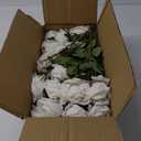 Hananona 50 Pcs Artificial Roses in Bulk, Fake Velvet Silk White Roses Realistic White Roses for Wedding Centerpieces Flower Arrangement Home Decor (50, White)