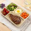 WELLIFE 100% Compostable 5 Compartment Paper Plates, 100 Pack Disposable School Lunch Trays Divided Plates for Adult Youth, 12.5 * 8.6 inch Heavy Duty Eco-Friendly Bagasse Plate for Buffet and Party