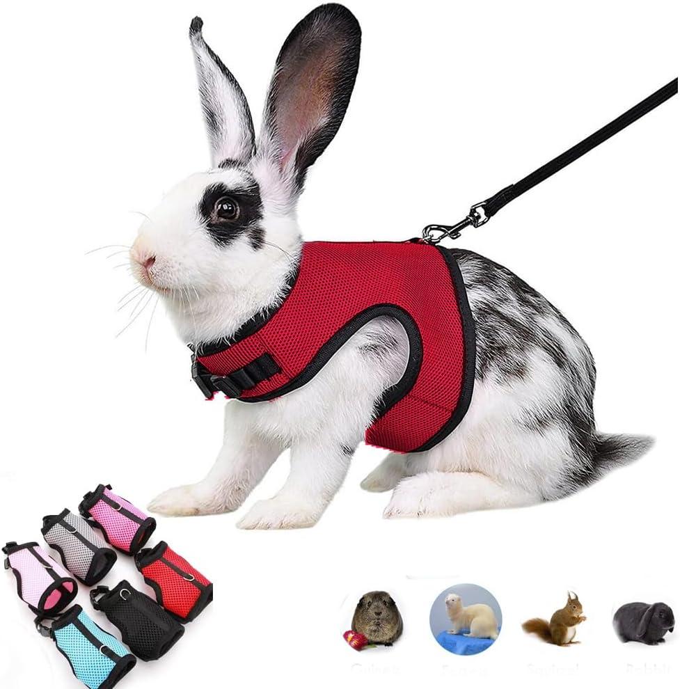 Ferret Harness and Leash Set Escape Proof, Soft Rabbit Mesh Vest Adjustable Buckle for Bunny Guinea Pig Hamster Walking Small Animal Pets Rat, Red M (M (Neck:5.5"-7" Chest:6.2"-8.5"))