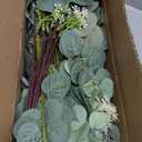 lovemoon 130 Pcs Artificial Mixed Eucalyptus Stems Bulk, 5 Kinds of Faux Greenery Eucalyptus Leaves Bulk for Vase Wedding DIY Bouquets Floral Arrangement Home Decor (130, Green)