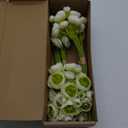 Floroom Ranunculus Artificial Flowers 18 Pcs Green Faux Silk Mini Ranunculus Bulk Fake Wedding Filler Flowers for DIY Bouquets, Centerpieces, Bridal Shower Decorations & Arrangements
