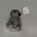 Hand Painted Dog Squishy Toys, Big Cute Ultra Soft Squeeze Fidget Toys for Stress Relief, Kawaii Squishies Sticky Animal Toys for Adults Kids, Decompression Sensory Balls Toys for Autism (Schnauzer)