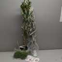 Big Artificial Olive Tree Large Faux Trees Indoor Outdoor Realistic Floor Plant Tall Fake Plants for House Modern Home Living Room Bedroom Office Front Porch Decor Outside Patio para decoracion (6ft)