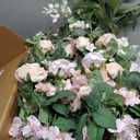 Ling's moment 41" Tall Ground Flowers for Wedding Decor, 2pcs Free Standing Artificial Flowers Arrangements, Aisle Chair Backdrop Decoration for Garden Arch Entryway Ceremony Reception, Blush & Cream