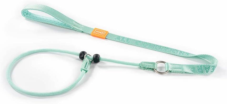HOWGO Dog Slip Lead Dog Leash,Training Leash,Cinch Leash, No-Pull Slip Leash and Collar,Heavy Duty&Durable,Padded Handle,for All Breeds(Mint Green, 3.6FT)
