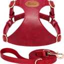 Beirui Small Dog Harness and Leash Set, PU Leather, Red,S,Chest 19.5-23" | For Small Dogs, Adjustable Step in Puppy Harness, Breathable Mesh Lining, Durable Metal Buckle, For Walking Traveling