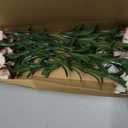 16PCS Pink Carnations Artificial Flowers 14.8'' Fake Carnation Silk Flowers with Stem Faux Carnations Flowers for Home Table Centerpiece Wedding Decorations Floral Arrangements (Pink Edge)