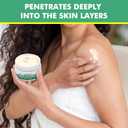 Neuropathy Nerve Pain Relief Cream with Cooling Effect, Maximum Strength for Feet, Hands, Legs, Muscles, Joints, Waist Includes Arnica, Vitamin B6, Aloe Vera, Fast Absorption, Mild & All Natural