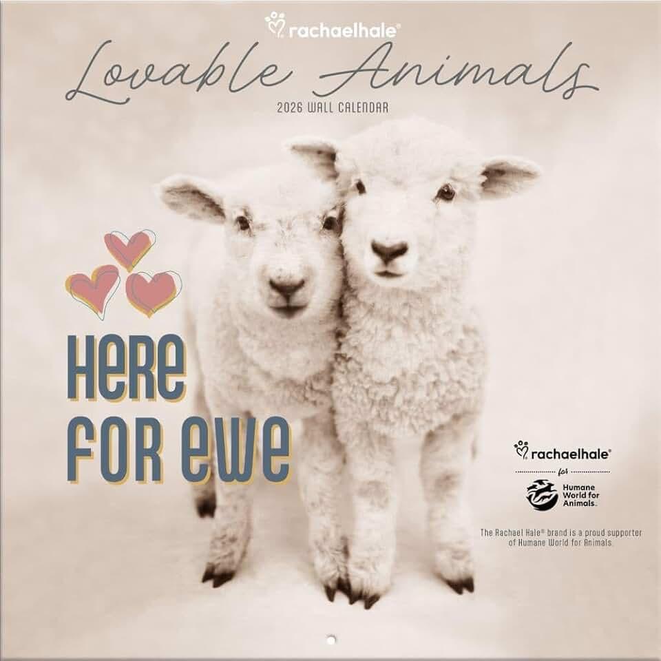 Turner Licensing, Rachael Hale Loveable Animals 2026 Wall Calendar