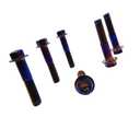 Rison Titanium Flanged Hex Head Bolt M10x1.25x25mm 6AL4V Aerospace Grade Ti Burnt Blue for Motorcycle Car Modification - Pack of 5 (Black)