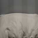 Litanika Queen Comforter Set Beige, 3 Pieces Lightweight Fluffy Solid Bedding Comforter Set, Down Alternative Comforter All Season Bed Set Gift Choice