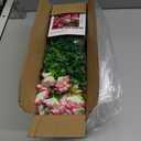 MARTINE MALL 12 Bundles Look Real Artificial Flowers for Outdoors, Realistic Fake Outdoor Flowers, UV Resistant Silk Petunia Flowers for Outside Faux Flowers Plants for Outdoor Porch, Mix Colors
