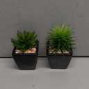 Hollyone Small Succulents Artificial 3 Pcs Faux Succulents in Pots Fake Succulent Plants with Black Ceramic Pots for Modern Home Office Desk Bathroom Shelf Living Room Decor