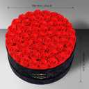 Gifts for Women NATROSES 60 Preserved Roses in Luxury Black Velvet Box, Preserved Flowers for Delivery Gift for Her, Elegant Rose for Birthday, Mothers Day, Christmas (Red)