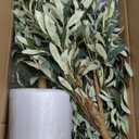 Artificial Fake Olive Tree 7FT Tall 1Pack Faux Silk Olive Tree for Home Living Room Office Decor Faux Artificial Plants Indoor Fake Potted Plants with Fruit & Free Moss