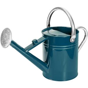 1 Gallon Metal Watering Can with Removable Spout, Nice Galvanized Steel Water Can for Indoor and Outdoor Plants (Ocean Blue)