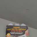 Set of 6 Inverted Condiment Squeeze Bottles for Sauces 16 oz  Easy-to-Fill Clear Bottles with Self-Closing Valve for Dressings, Ketchup, Mustard - Dispensing Bottles for Cooking, Valentine Day Gift