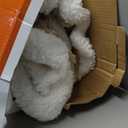 Electric Blanket Twin Heated Blanket 62''X84'' with 5 Heating Levels & 10 Hours Auto Off, ETL & FCC Certification Sherpa Heating Blanket for Home Office Use, Machine Washable, Great Gift(Beige)