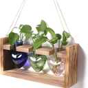 Plant Terrarium Unique Birthday Gift for Women Propagation Stations Home Office Decor Heart Shaped Glass Vase with Wooden Stand