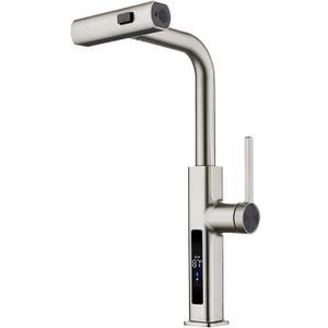 Lefton Pull-Out Waterfall Kitchen Faucet with Temperature Display, Two Water Outlet Modes, Single Hole, Brushed Nickel, KF2209-0
