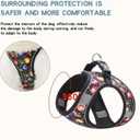 Step in Dog Harness No Pull Flower Adjustable Soft Mesh Padded Reflective Pet Vest Harness and Leash Set, XS