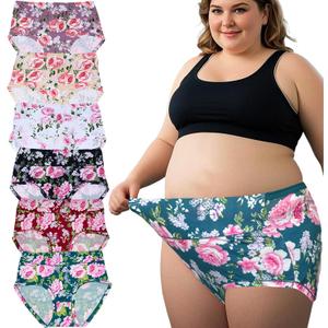 Women's Underwear Plus Size XL-6XL Panties Briefs High Waist Rose Floral Print 6 Pack Undies (4X-Large)