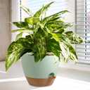 Big Self Watering Pots 12/10/9 inch, Planter, Plant Pots with Mesh Drainage Holes for Indoor Outdoor Garden Plants, Plastic Flower Pots with Removable Deep Reservoir, Green with Brown