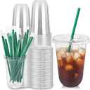 Qinsihwn 25 Set 16oz Plastic Cups with Flat Lids and Straws,Disposable Plastic Iced Coffee Cup,Disposable Clear Drinking Cups for Cold Beverages,Milkshakes,Smoothies