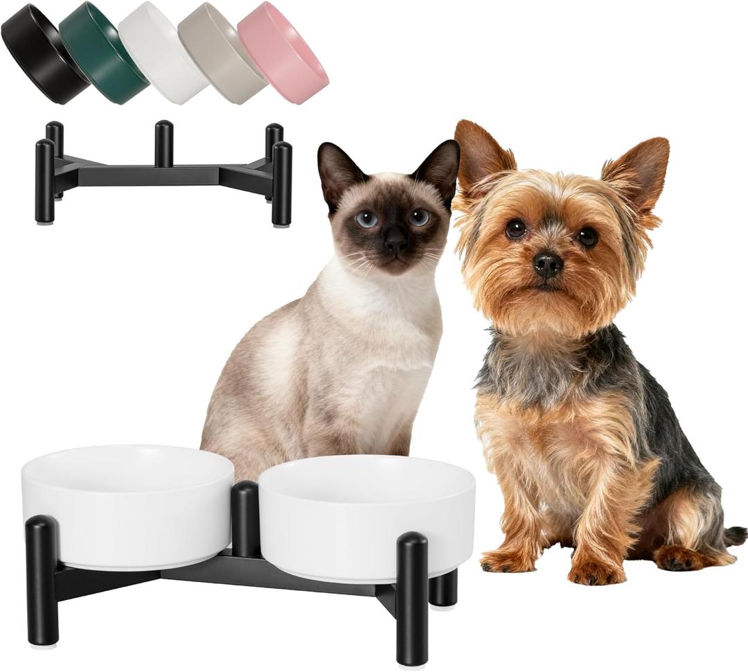 Raised Ceramic Dog Bowl Set - Elevated Double Dishes with Stainless Steel Stand - Food and Water Bowls for Small Dogs and Indoor Cats - Each Holds 1.6 Cups (10.8 fl oz) - White