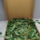 Ling's Moment Rosa Banksiae Artificial Greenery Garland Vine, 6ft | Artificial Rosa Banksiae Vine, Laurel Leaf Garland, Greenery Garland for Wedding Arches, Centerpieces, Home & Event Decor