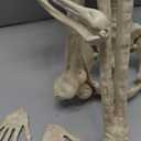 5.4Ft/170cm Posable Halloween Skeleton, Full Body Life Size Skeleton with Movable Joints for Indoor Outdoor Halloween Decorations, Spooky Party Props Decor 1Pcs