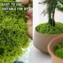 SETRUE Fake Green Moss for Crafts, 5.3 OZ Artificial Fake Green Moss for Planters Faux Moss Decor for DIY Decorative Table Centerpieces Decor Fairy Garden Model Making (150g)